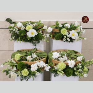 [ss] 4 tráp cưới giá rẻ tone xanh